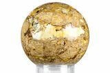 Polished Fossil Stromatolite Sphere - Green River Formation #369854-1